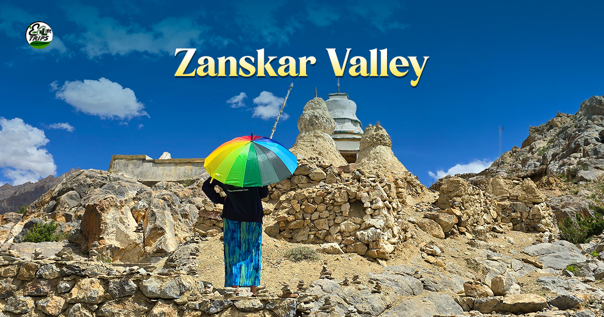 zanskar valley trip from delhi